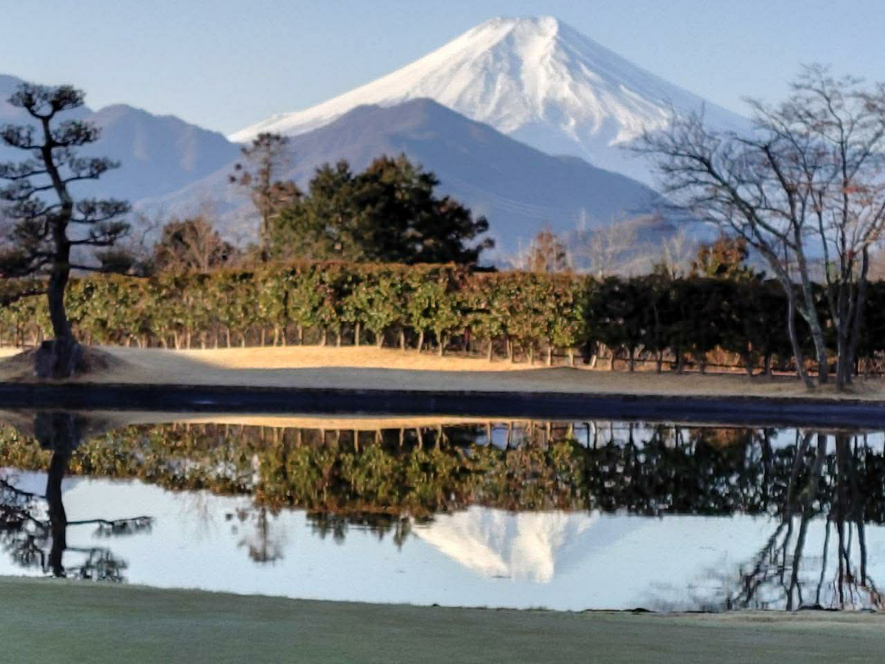 81歳で優勝。春の養生とゴルフから学ぶ整える力